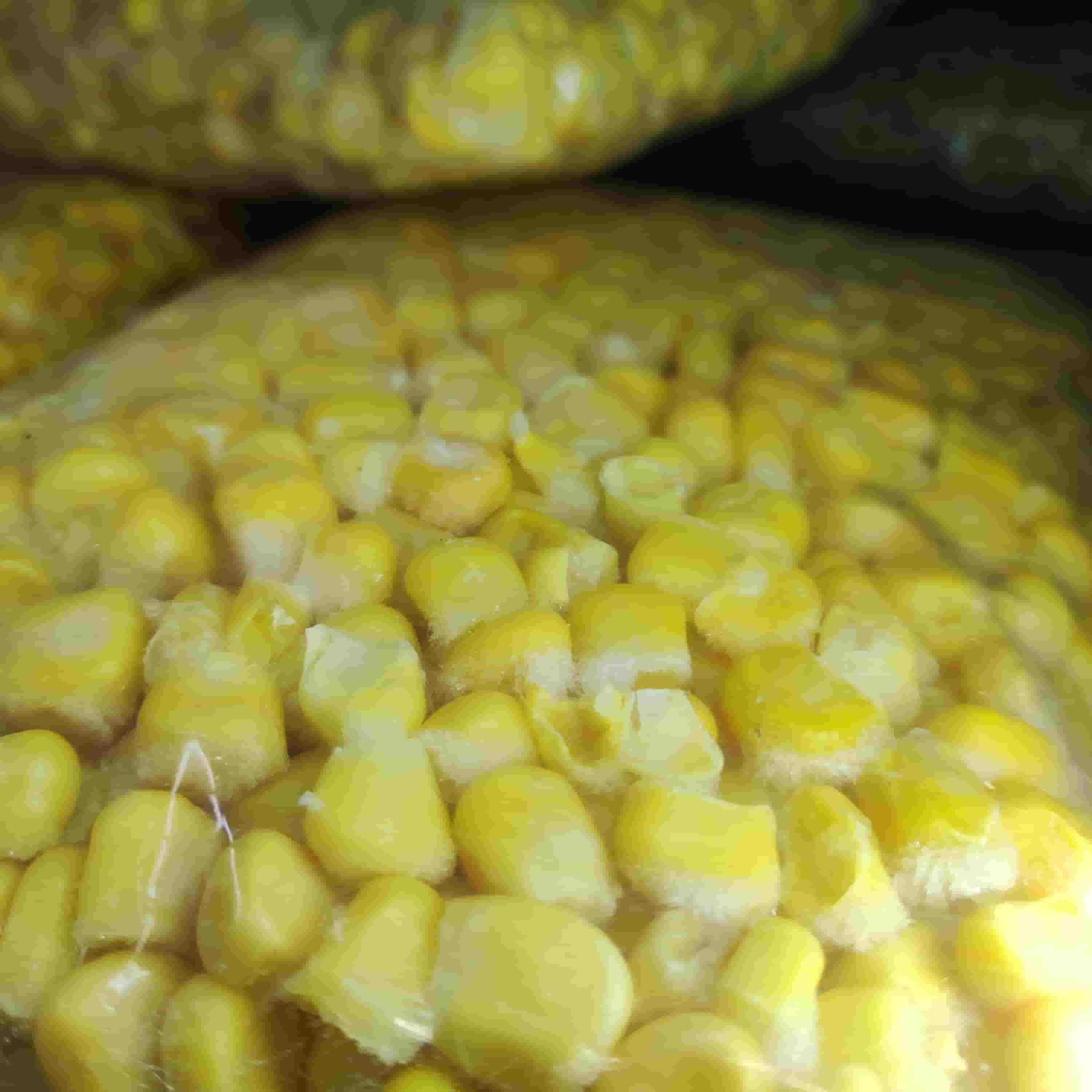 تصویر 4 از کنسرو ذرت فله مناسب مصارف رستورانی و صنعتی